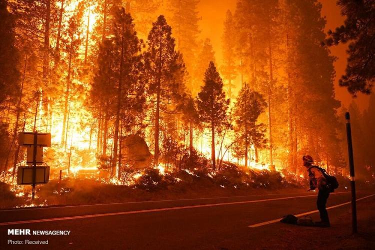تغییر آب و هوا و خشکسالی عامل آتش‌سوزی‌هاست 