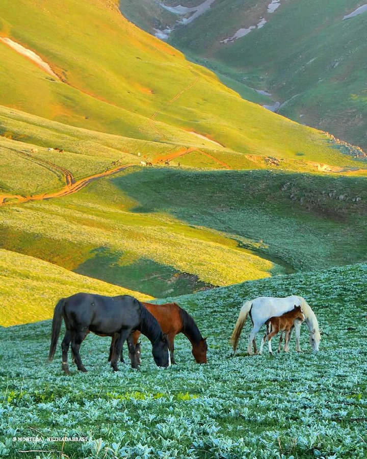 طبیعت بی نظیر جواهر دشت+عکس