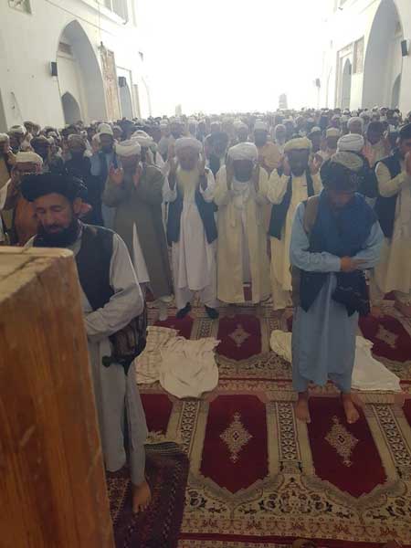 اولین نماز جمعه طالبان در هرات+عکس