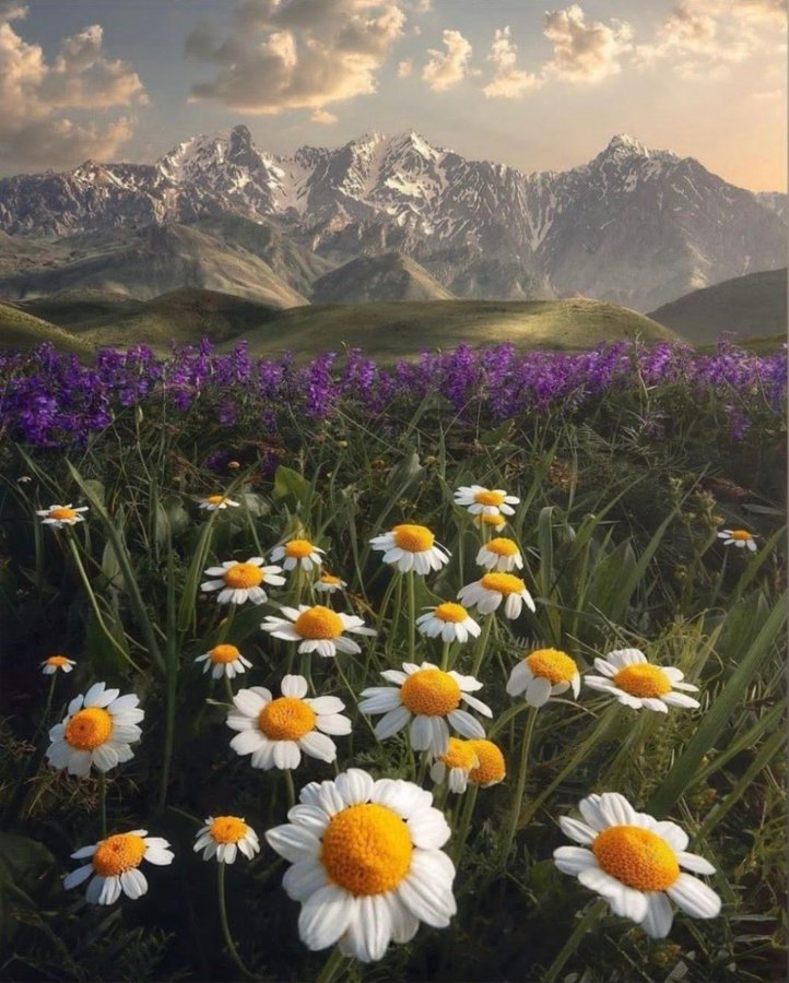تصویر رویایی از اشتران‌کوه لرستان+عکس