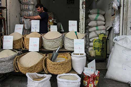 افزایش بی سابقه قیمت برنج ایرانی