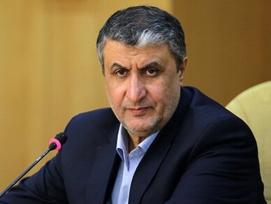 آغاز فعالیت رئیس جدید سازمان انرژی اتمی