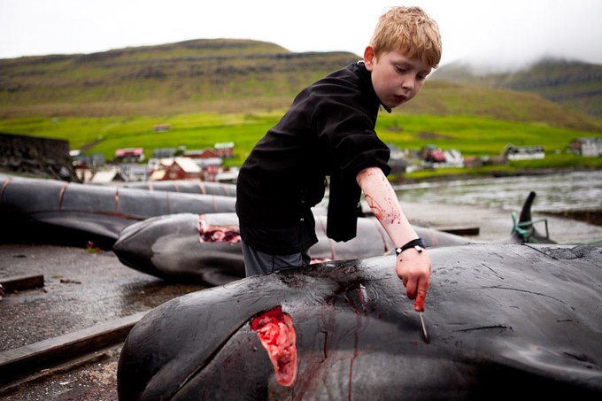 حرکت غیراخلاقی پسر دانمارکی مقابل دوربین+عکس