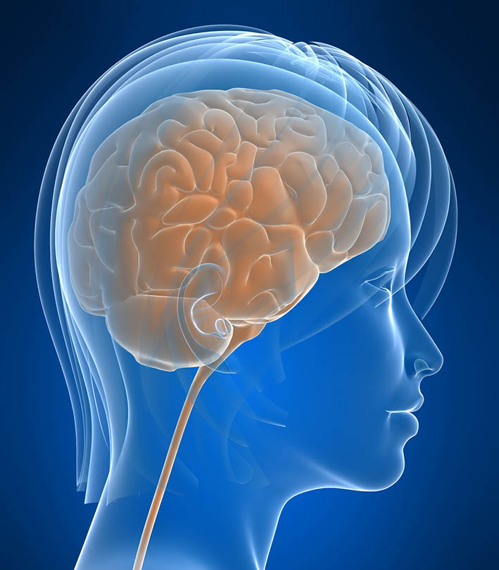 چگونه مغز خود را سالم نگه داریم؟ 