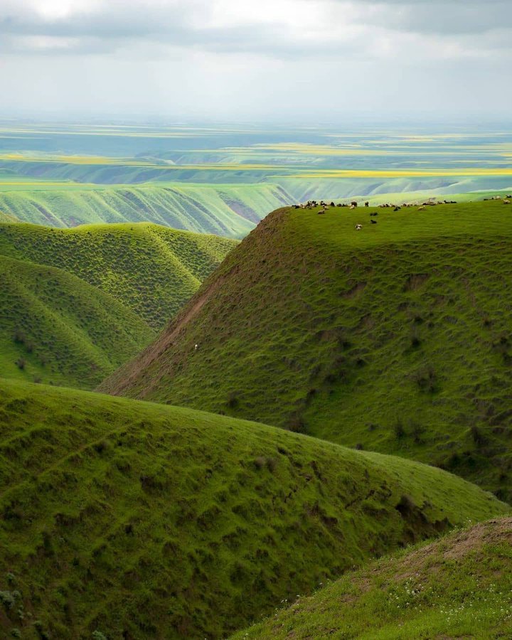 تصویر رویایی از ترکمن صحرا+عکس