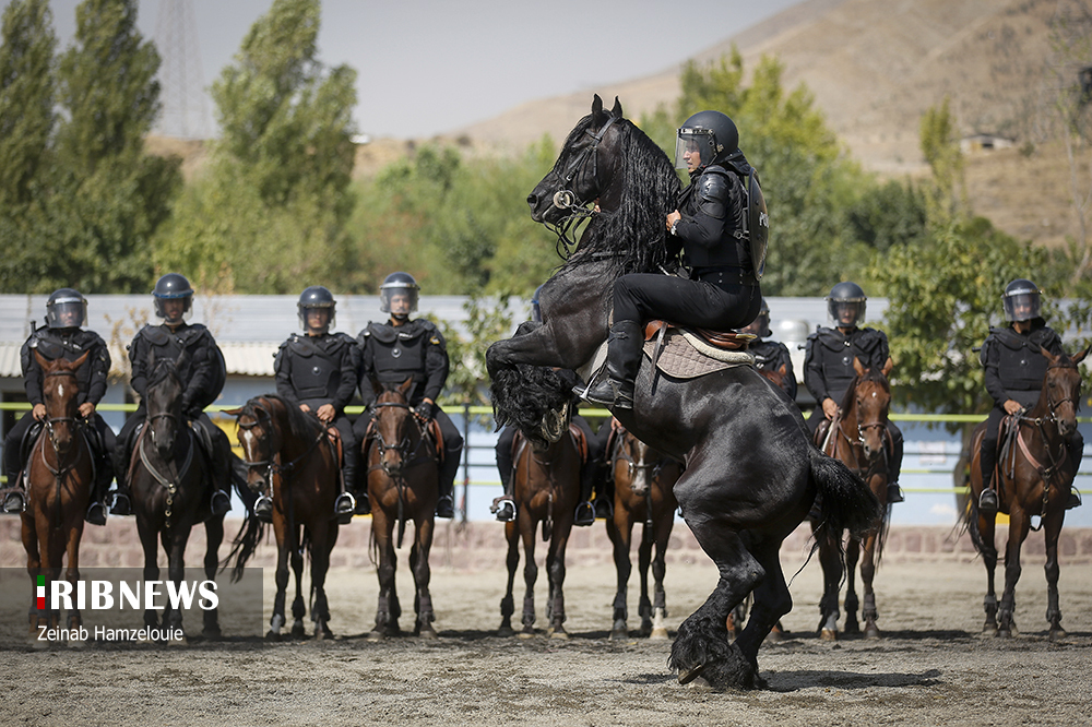 یگان اسب سواری پرقدرت ایران+عکس