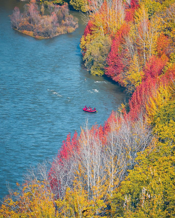 قاب زیبای پاییزی در حاشیه زاینده رود+عکس