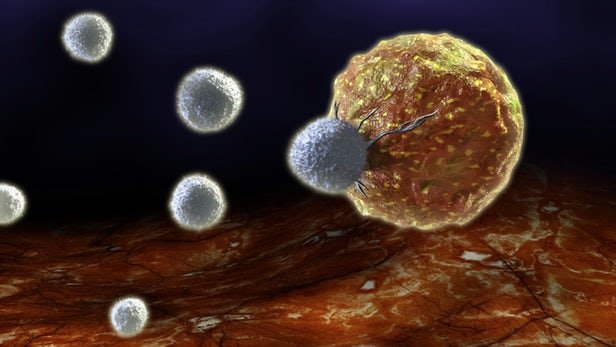  نویدبخش درمان سرطان با نانو ذرات