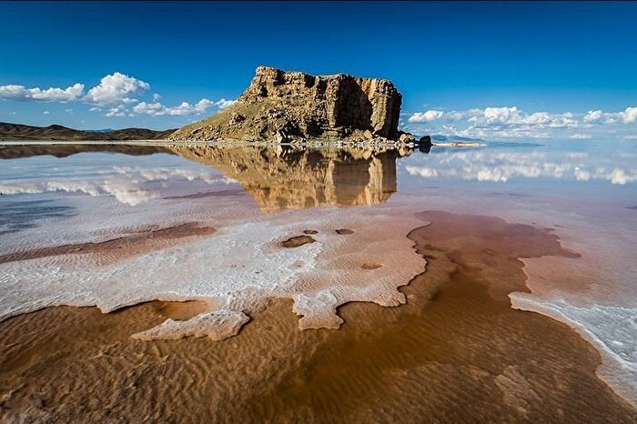  با کاهش شدید سطح آب دریاچه ارومیه / خطر انقراض گونه‌های حیات وحش