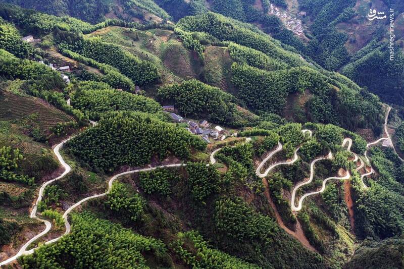 جاده ای زیبا در چین که تصادف در آن حتمی است+عکس