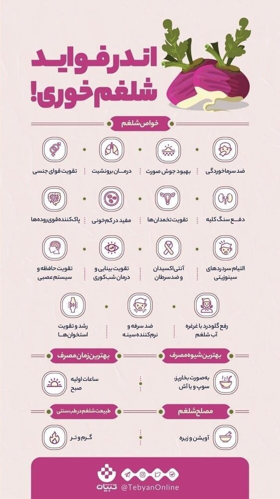 خوردن این میوه بدمزه را در پاییز فراموش نکنید+عکس