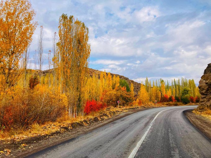جاده خلخال رنگ پاییزی به خود گرفت+عکس