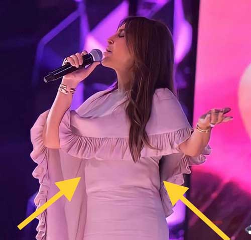 لباس خواننده زن لبنانی در کنسرت سوژه شد+عکس