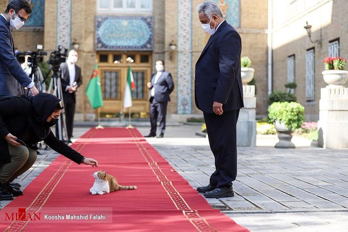 گربه ای که در مراسم استقبال وزارت خارجه در تهران خبرساز شد+عکس