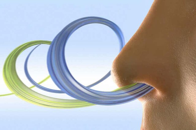  حس بویایی سریع ترین سیستم هشداردهنده‌ انسان است 