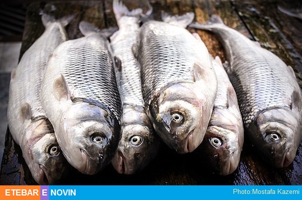  مصرف ماهی و خطر ابتلا به زوال شناختی و زوال عقل در سال های بعدی یک ارتباط پیشگیرانه وجود دارد.