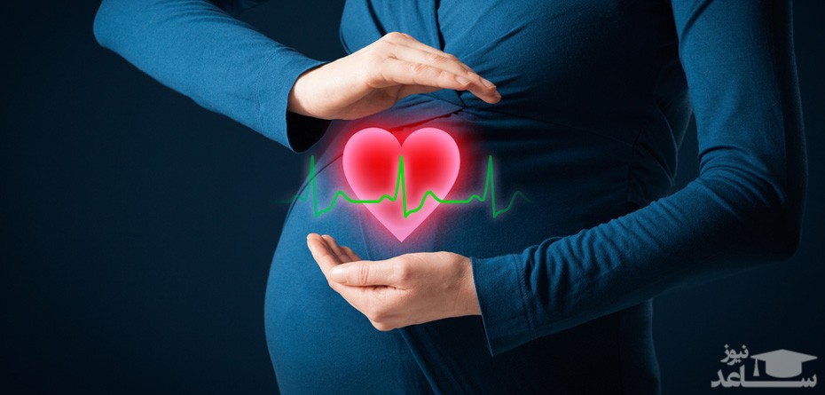 همه چیز درباره ضربان قلب جنین در بارداری