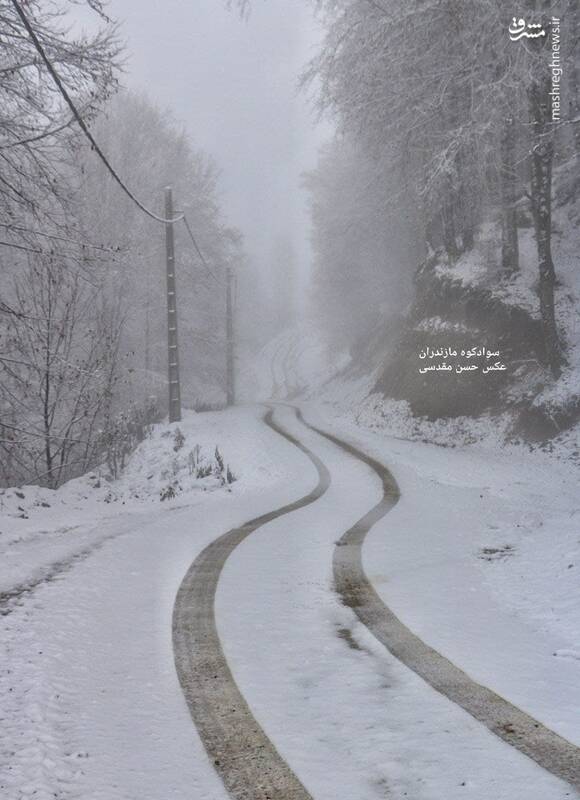 سوادکوه زیر بارش برف سفیدپوش شد+عکس
