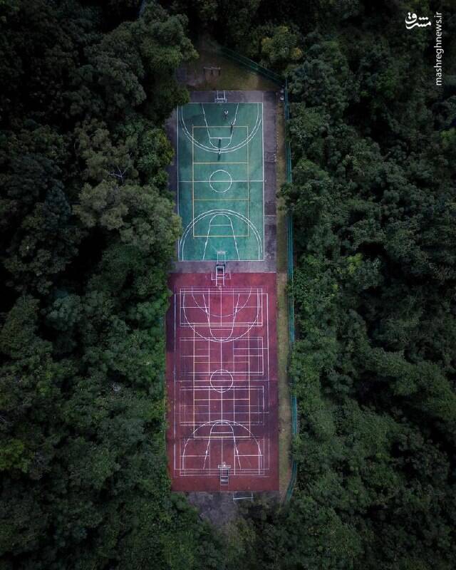 دو زمین ورزشی درست وسط جنگل+عکس
