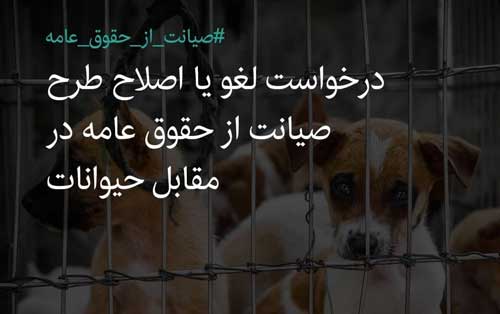 نامه به قالیباف برای جلوگیری از تصویب طرح خبرساز