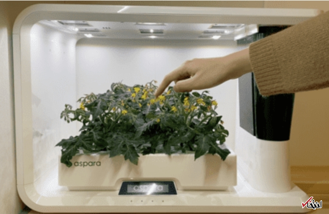 فناوری هوشمند برای تشویق صاحبان آپارتمان‌های شهری به پرورش گیاهان