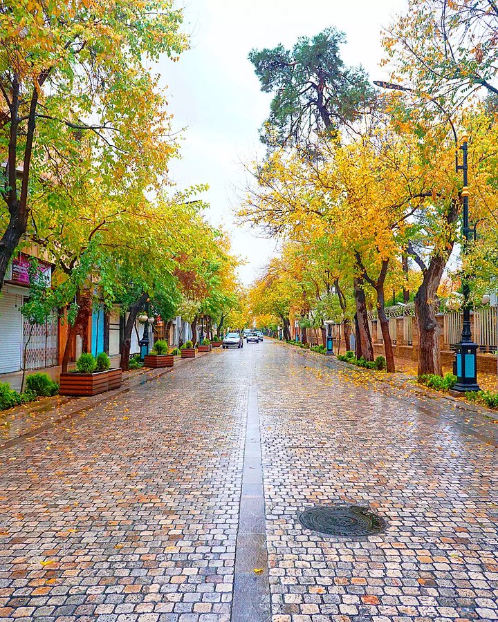در خیابان طالقانی شیراز پاییز را حس کنید+عکس