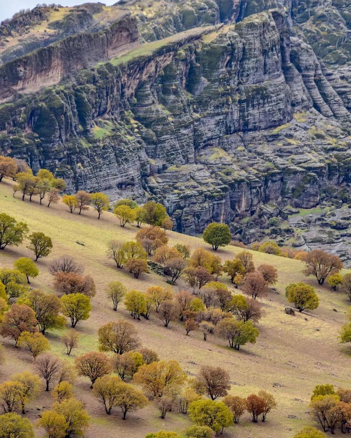 طبیعت زیبای مخمل کوه لرستان+عکس