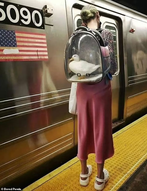 کیف عجیب دختر جوان در مترو او را لو داد+عکس