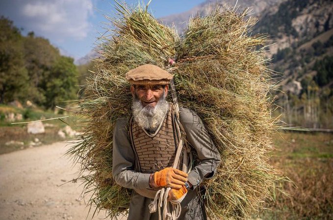 شغل پیرمرد باصفای افغانستانی+عکس
