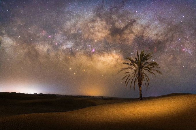تصویری که برای آخرین بار می‌توانید آن را ببینید+عکس
