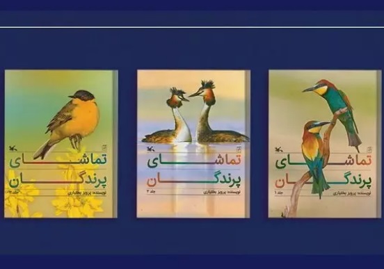 «تماشای پرندگان» کتابی خواندنی برای کودکان و نوجوانان