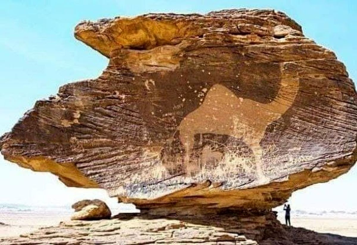 عشق بی اندازه عربستانی ها به شتر در ۴۰۰۰ سال پیش+عکس