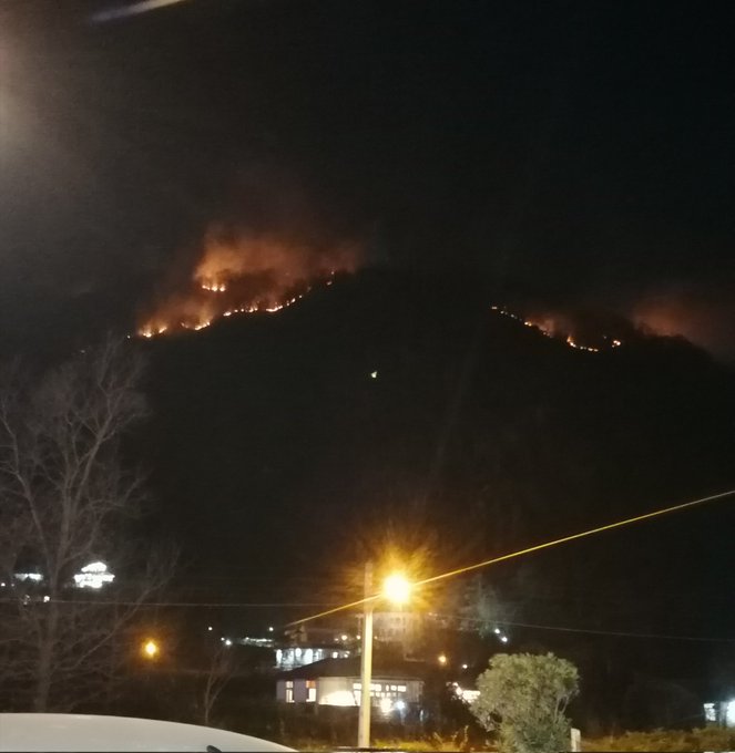 آتش سوزی در کوه‌های لاهیجان ادامه دارد+عکس