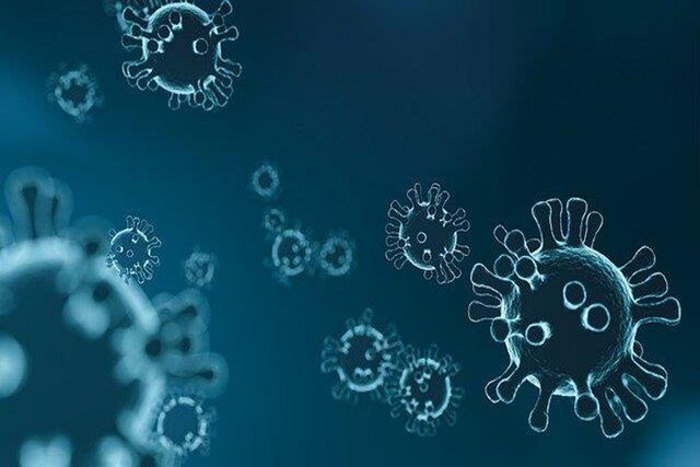 کشف مهم محققان برای غیرفعال کردن کرونا ویروس