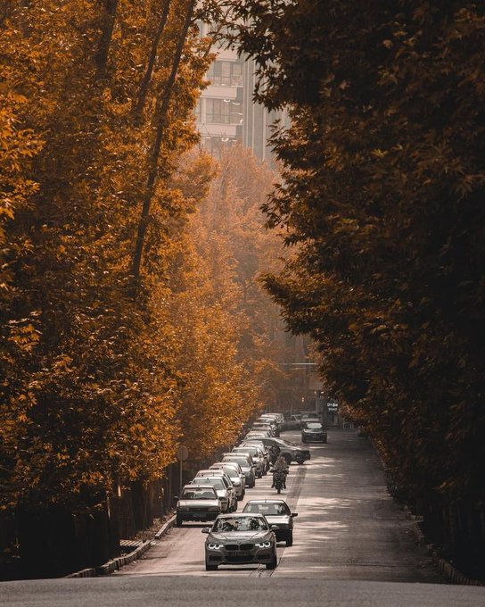 تصویر زیبایی از پاییز تهران+عکس
