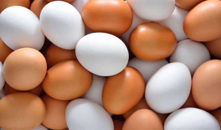 فروش تخم مرغ‌های تاریخ مصرف گذشته ترکیه در ایران