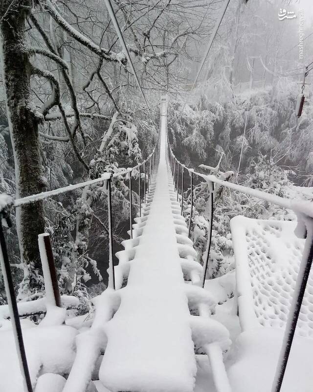 پل معلق نمک آبرود زیر بارش برف+عکس