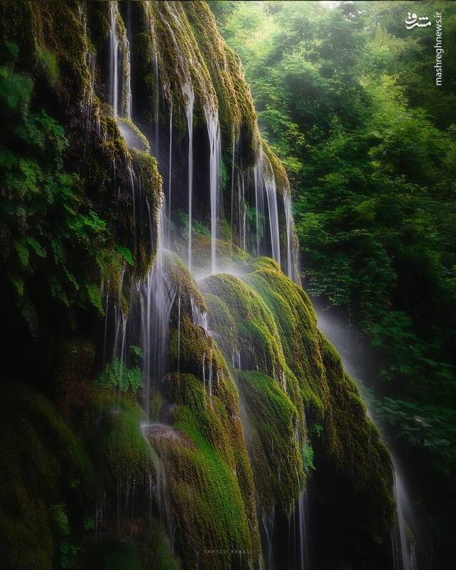 تصویر جذاب از آبشار خزه‌ای ایران +عکس