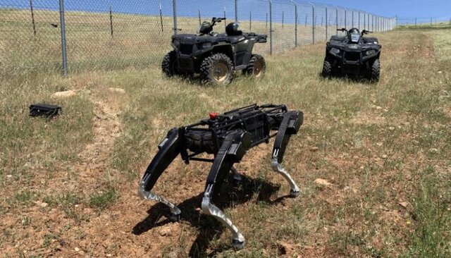 تصویر باورنکردنی از گشت‌زنی سگ‌های رباتیک