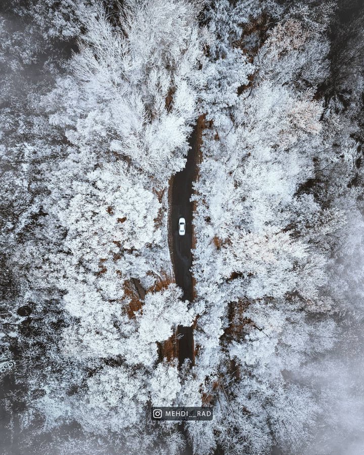 تصویر هوایی زیبا از پارک جنگلی مشکین شهر+عکس