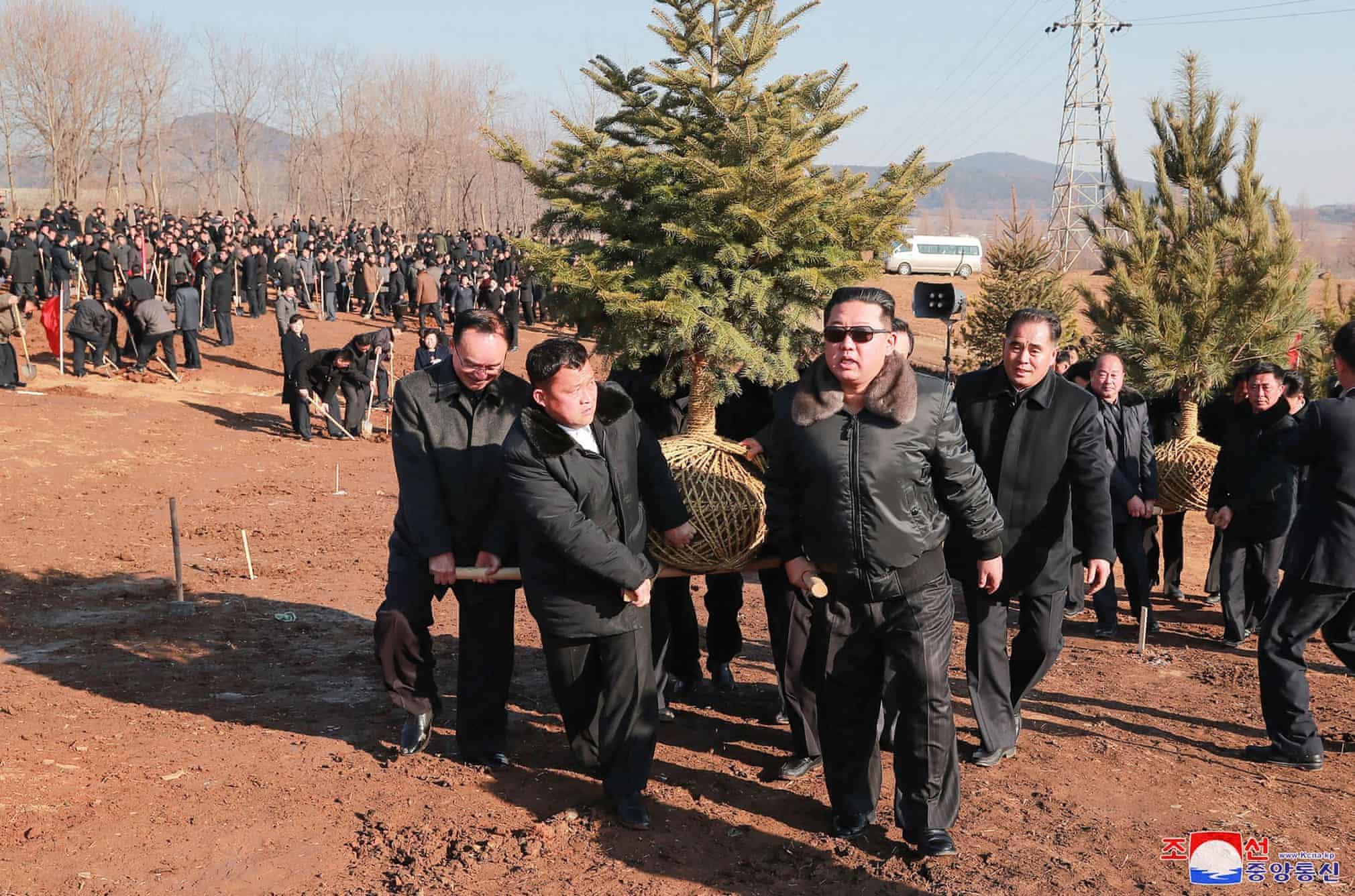 رهبر کره شمالی در حال درختکاری+عکس