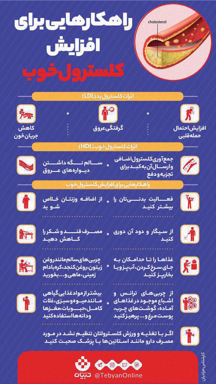 راهکارهای ساده برای افزایش کلسترول خوب+عکس