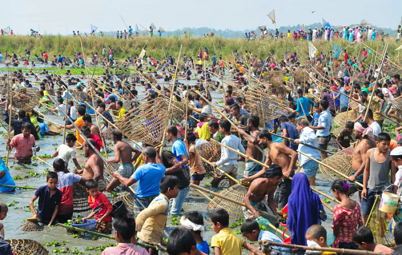 صحنه عجیب از جشنواره ماهیگیری در بنگلادش+عکس