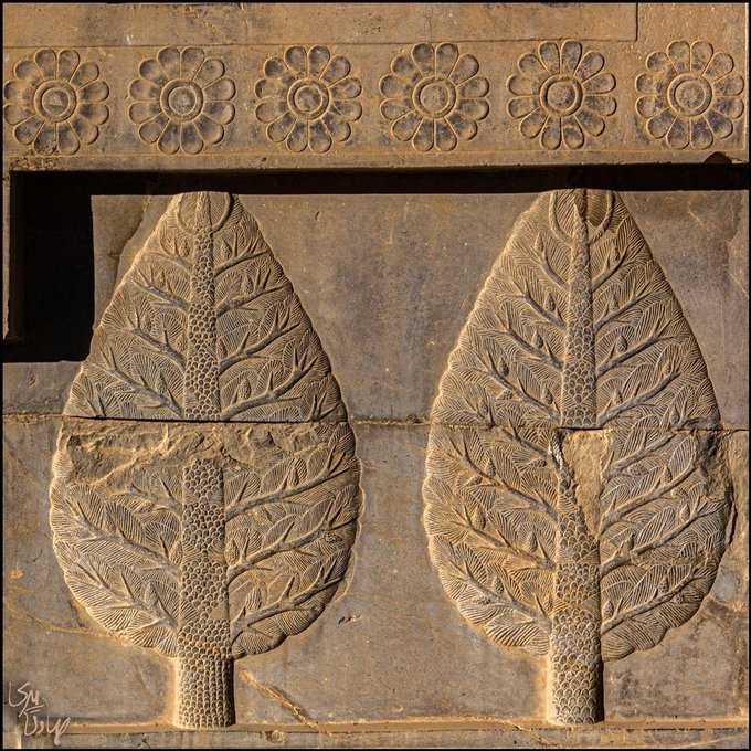 نقش برجسته زیبای دیوار کاخ آپادانا+عکس