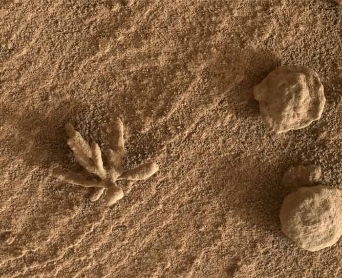 صخره‌ای به شکل گُل بر روی مریخ +عکس