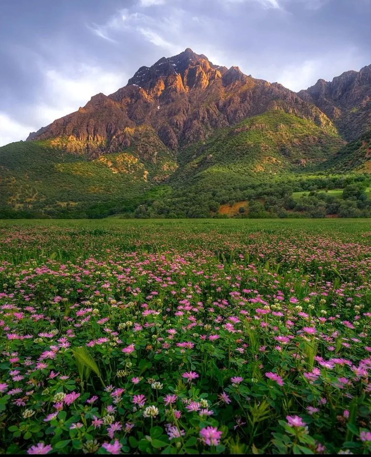بهار در لرستان زیبا+عکس