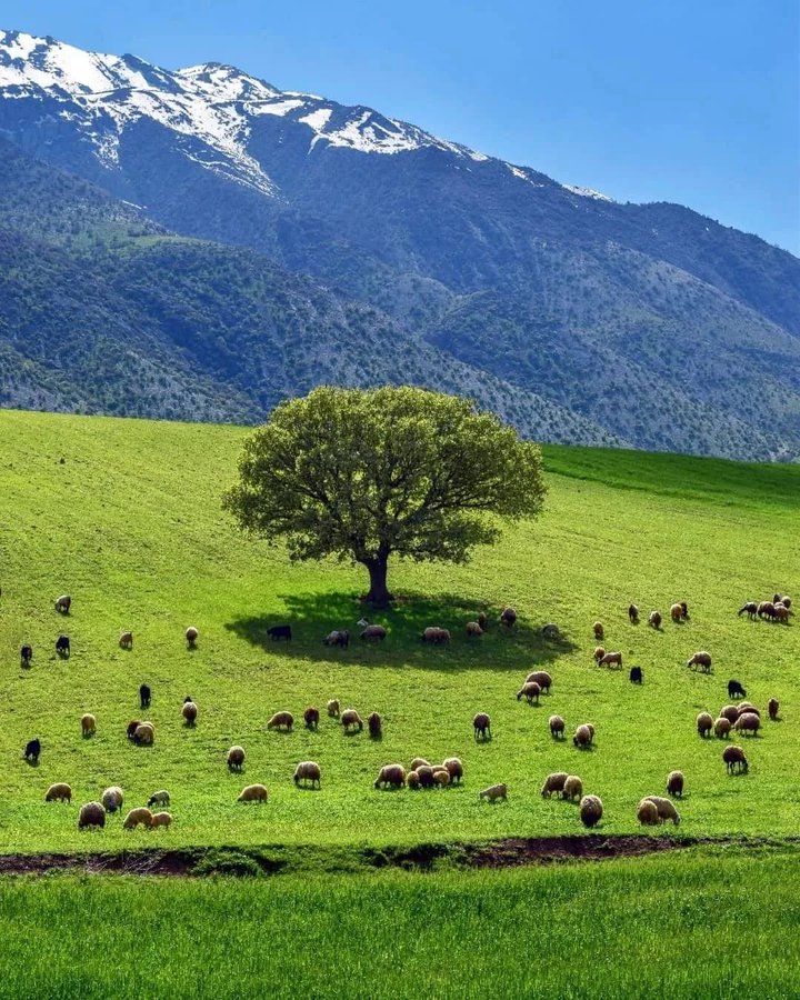 تصویر جذاب از لرستان زیبا+عکس