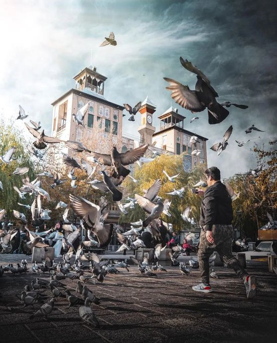 پرواز کبوتران در خیابان ناصرخسرو تهران+عکس
