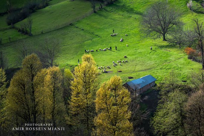 طبیعت زیبای رودبار در بهار+عکس