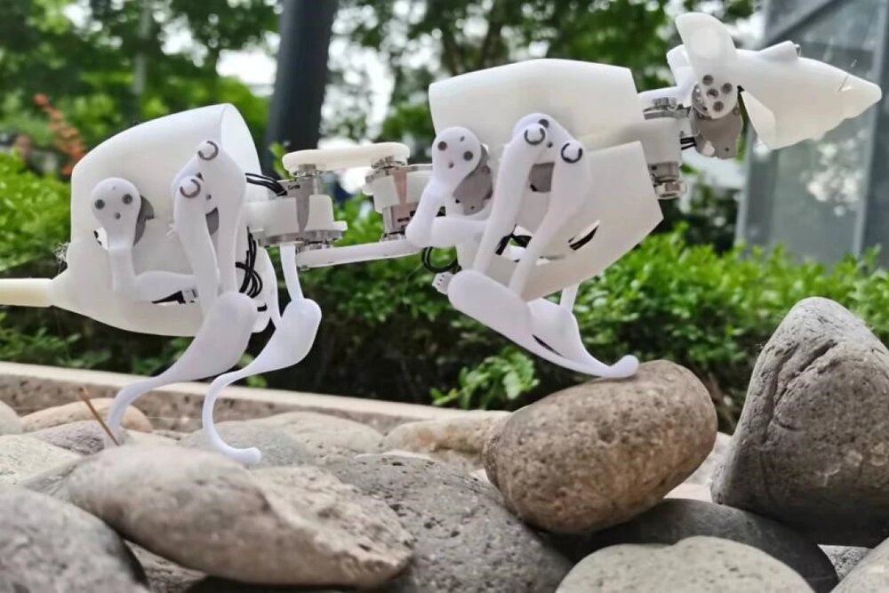 تصویر جذاب از موش رباتیک در خرابه‌ها+عکس